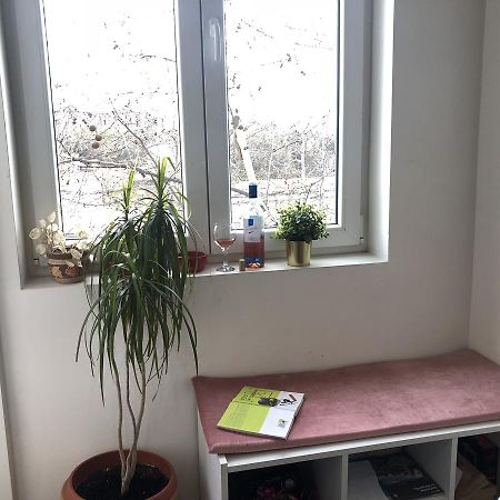 Studio 50 With Terrace Belgrád Kültér fotó