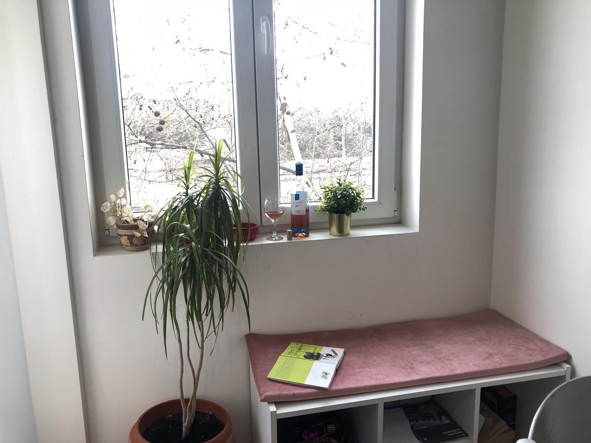 Studio 50 With Terrace Belgrád Kültér fotó